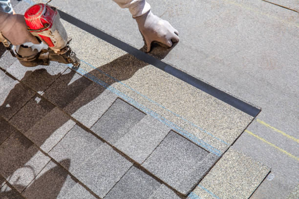 Best Metal Roofing Contractor  in Homestead Meadows North, TX