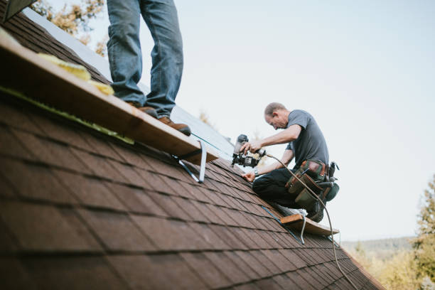 Roof Repair Estimates in Homestead Meadows North, TX